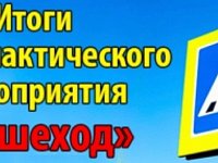 Госавтоинспекция подвела итоги ОПМ «Пешеход» 
