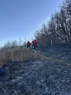 Лесопожарная обстановка у села Лох стабилизирована   