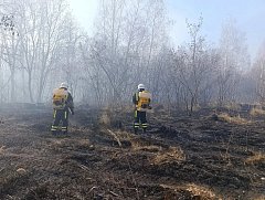 Лесопожарная обстановка у села Лох стабилизирована   