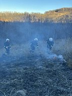 Лесопожарная обстановка у села Лох стабилизирована   