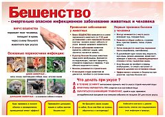 Балаковец обратился к медикам после укуса ежа