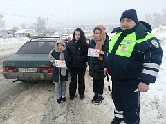 Сотрудники Госавтоинспекции провели профилактическое мероприятие «Ребенок-пассажир»