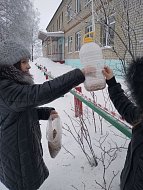 Школьники Новобурасского района приняли участие в акции: "Покорми птиц зимой"