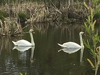 Наша природа в объективе юных экологов!