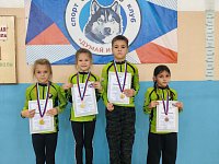  Команда "ПАНДЫ" - лучшие!