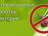 Внимание: обработка стадиона от клещей