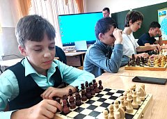 Шахматы — это не просто игра, это битва умов!