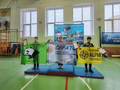 «Ноябрьские чижики-2025»