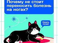 Актуально: болеть или работать?