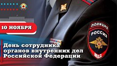 День сотрудника органов внутренних дел Российской Федерации