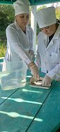 В Новобурасском районе созданы благоприятные условия для рыбоводства
