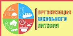 Организация школьного питания