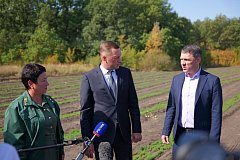 ️ Саратовские лесхозы ведут подготовку к предстоящей высадке деревьев на территории Саратовской области
