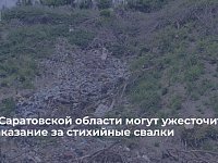 В Саратовской области предложили повысить административную ответственность за организацию несанкционированных свалок.