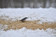  Сегодня День заповедников и национальных парков России