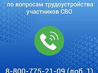 Приоритетная помощь и оперативное решение всех поступающих вопросов: для участников специальной военной операции и членов их семей открыта горячая линия по вопросам трудоустройства