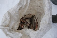 В Саратове сотрудники ОМОН «Патриот» принимают участие в межведомственных рейдах, направленных на борьбу с браконьерством