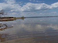 Выбор земляка