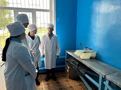 Погружаются в профессию ветеринарного фельдшера