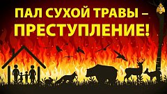 Опасность пала сухой травы