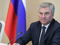 Вячеслав Володин предложил сделать бесплатными для сельских жителей детские сады и школьное горячее питание