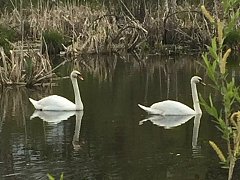 Наша природа в объективе юных экологов!