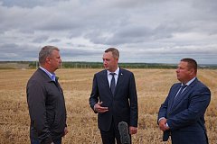 ️ Саратовская область лидирует по валовому сбору зерна в Приволжском федеральном округе. 
