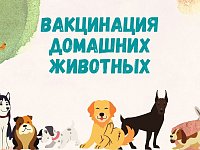 На защите домашних питомцев