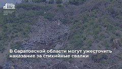 В Саратовской области предложили повысить административную ответственность за организацию несанкционированных свалок.