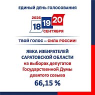 Предварительные итоги выборов в наших карточках 