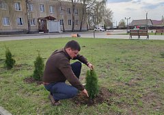 В Новобурасском районе продолжается акция "Сады Памяти"