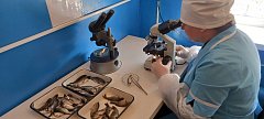 При межхозяйственных перевозках необходимо оформить сопроводительные документы