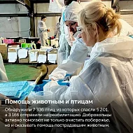 Более 100 саратовцев приняли участие в ликвидации последствий разлива нефтепродуктов в Черном море