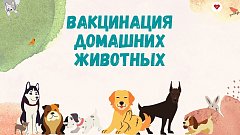 На защите домашних питомцев