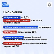  Ежегодный отчет Правительства РФ