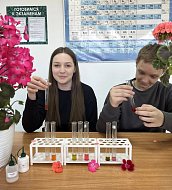 Педагог Новобурасского Центра развития дополнительного образования стала одним из победителей областного конкурса «Формула мастерства»  Мероприятие проходило среди педагогов дополнительного образования естественнонаучной направленности, а также специали