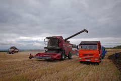 ️ Саратовская область лидирует по валовому сбору зерна в Приволжском федеральном округе. 
